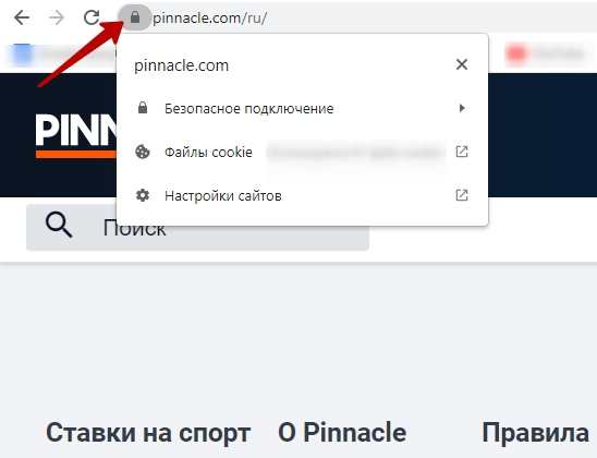Pinnacle зеркало