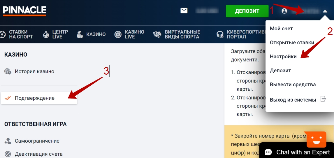 Pinnacle подтверждение личности